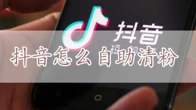 2d3fab6e046d982d927e28351f87528b.jpg@q_80,w_400,l_1