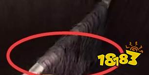 孙美琪疑案蛊乱五级线索两块毛巾在哪里 两块毛巾位置图文攻略