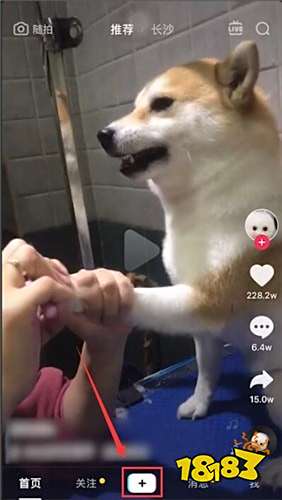 抖音恐龙道具在哪里 18183手机游戏网