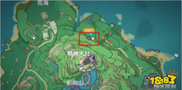 原神远海夷地的瑚枝怎么获取