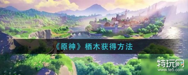 原神栖木获得方法介绍 原神栖木怎么获得