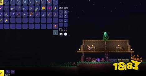 泰拉瑞亚沙漠居住地NPC如何安排