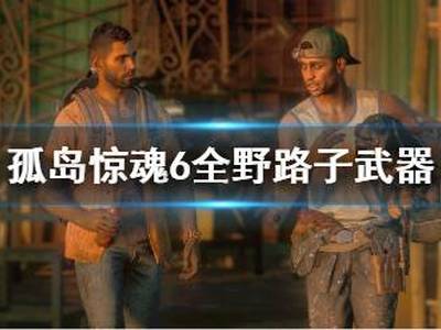 孤岛惊魂6全野路子武器一览
