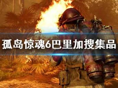 孤岛惊魂6巴里加搜集品分享