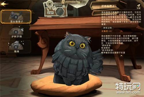 哈利波特魔法觉醒混血猫狸子宠物获取方法介绍 特玩网