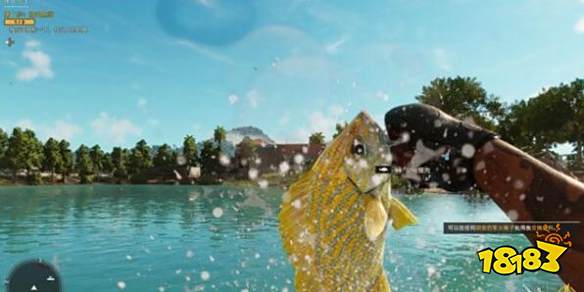 《孤岛惊魂6》休克疗法怎么过 休克疗法任务过关攻略