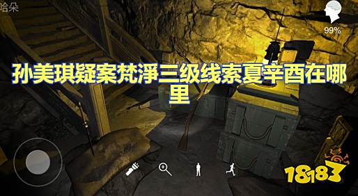 孙美琪疑案梵淨三级线索夏辛酉在哪里 夏辛酉位置图文攻略