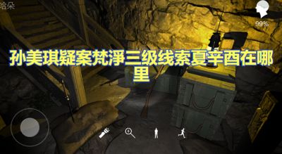 孙美琪疑案梵淨三级线索夏辛酉在哪里 夏辛酉位置图文攻略
