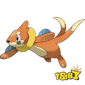 宝可梦珍珠钻石重制版泳圈鼬获得方法