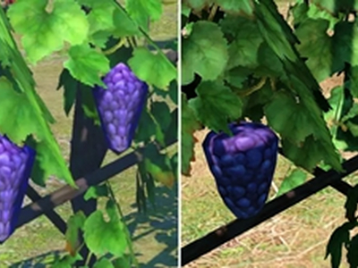 《最终幻想14》修复葡萄低劣建模