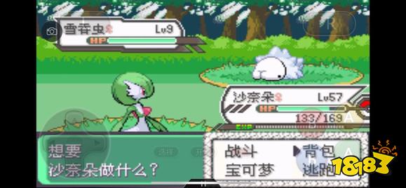 《口袋妖怪究极绿宝石5》全道路分布精灵图鉴大全