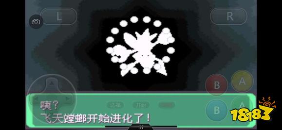 《口袋妖怪究极绿宝石5》全道路分布精灵图鉴大全