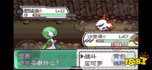 《口袋妖怪究极绿宝石5》全道路分布精灵图鉴大全