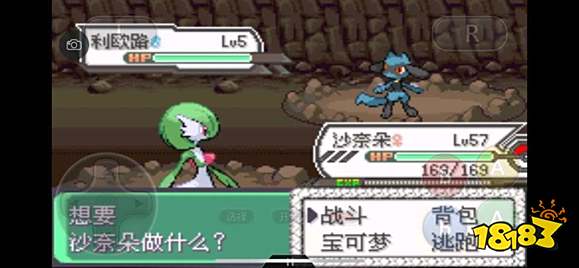 《口袋妖怪究极绿宝石5》全道路分布精灵图鉴大全