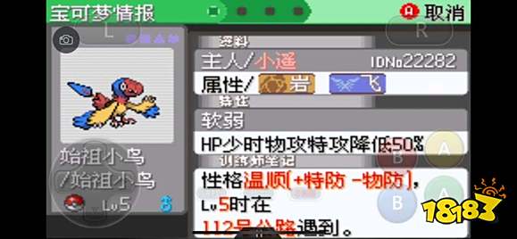 《口袋妖怪究极绿宝石5》全道路分布精灵图鉴大全