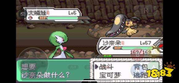 《口袋妖怪究极绿宝石5》全道路分布精灵图鉴大全