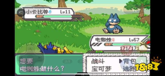 《口袋妖怪究极绿宝石5》全道路分布精灵图鉴大全