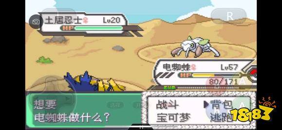 《口袋妖怪究极绿宝石5》全道路分布精灵图鉴大全