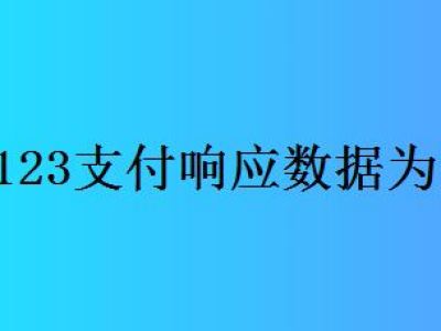 交管12123支付时响应数据为空是怎么回事