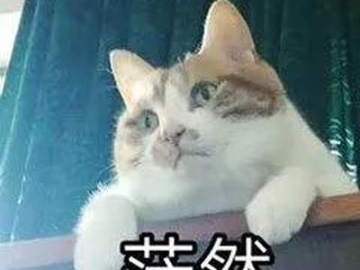 《原始传奇》恶魔广场与生肖殿堂走法攻略