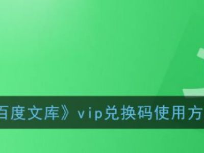 百度文库怎么使用vip兑换码