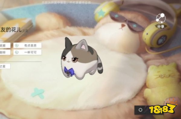 《猫之城》猫球怎么训练