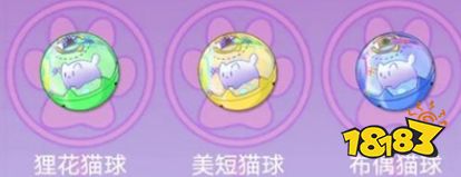 《猫之城》猫球怎么训练