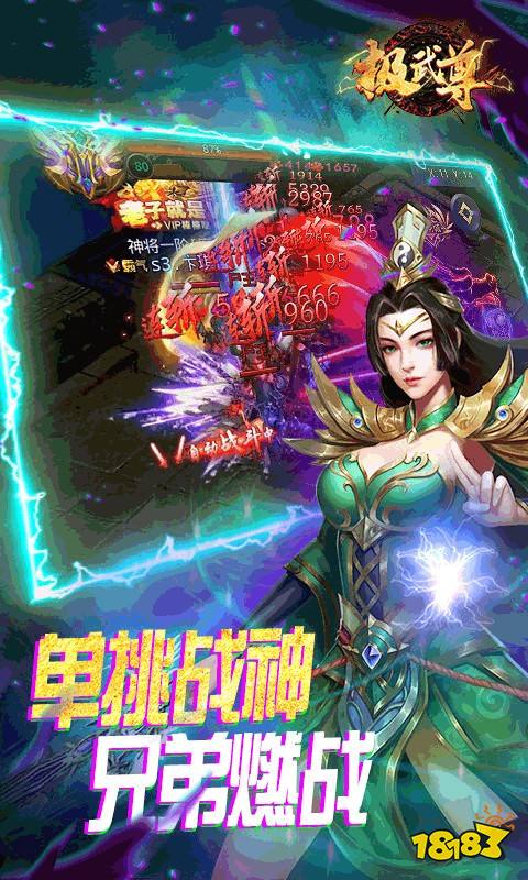 极武尊(金装正版)游戏截图2