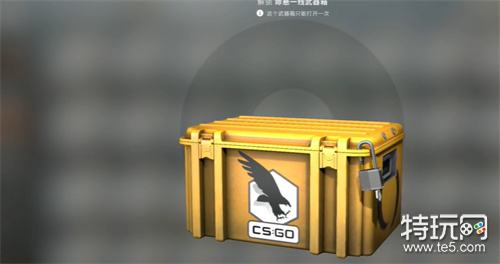 csgo开什么箱子性价比高_特玩网
