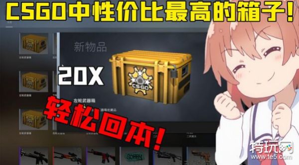  ak最强搭配,csgo想要ak皮肤开哪个箱子划算？