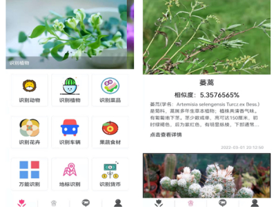 哪个好手机识别花草的app(拍照识别植物的软件top5)