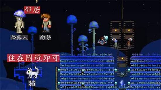 泰拉瑞亚npc要怎么分配入住泰拉瑞亚npc分配入住方法9