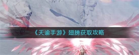 天谕手游翅膀如何获取翅膀获取方法1