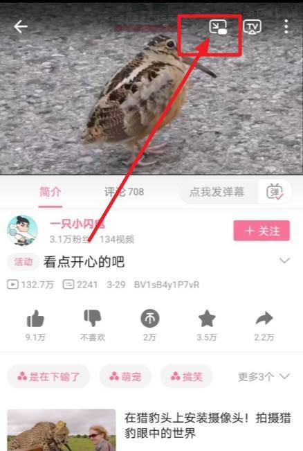 哔哩哔哩窗口模式怎么开1