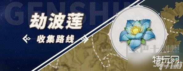 原神劫波莲采集路线 原神劫波莲位置