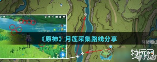 《原神》月莲采集路线分享