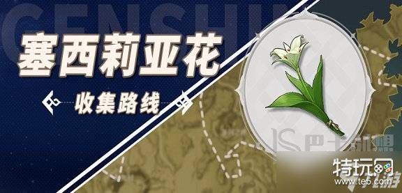 原神塞西莉亚花采集地点一览