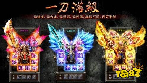 20211228172425426.jpg 1419a7c6-2c1e-4f75-9b66-a2451f9d2a5d.jpg