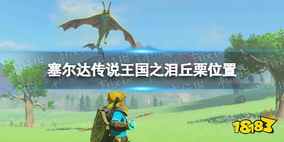 《塞尔达传说王国之泪》丘栗在哪? 丘栗位置_18183.com