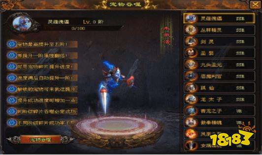 暗黑神宠三职业