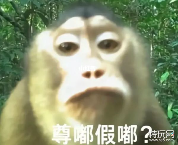 尊嘟假嘟表情包 尊嘟假嘟表情包图片分享_特玩网