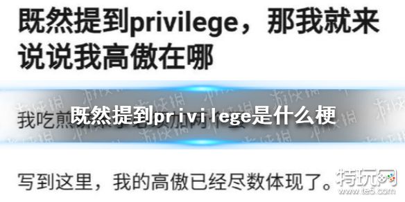 既然提到privilege是什么梗 我的高傲已经尽数体现意思解析_特玩网