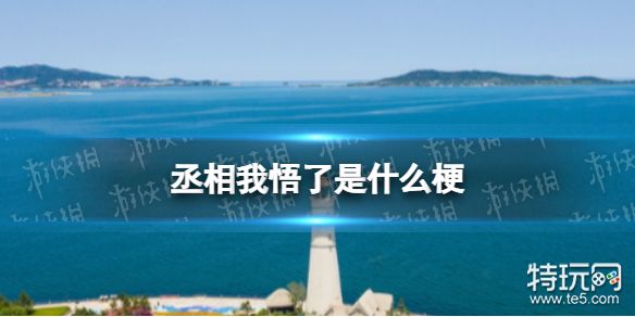 丞相我悟了是什么梗 丞相我悟了梗介绍_特玩网