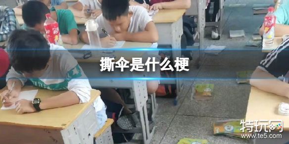 撕伞是什么梗 因为淋过雨所以要撕伞是什么意思