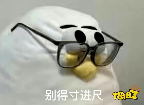 马兆海鸥梗怎么来的 马兆海鸥是什么梗意思介绍_18183.com