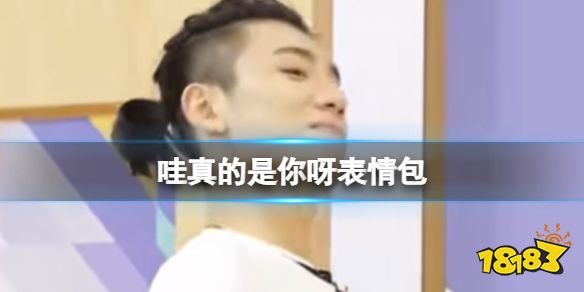 哇真的是你呀表情包 哇真的是你呀是什么梗_18183.com