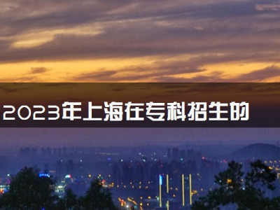 2023年上海在专科招生的本科大学