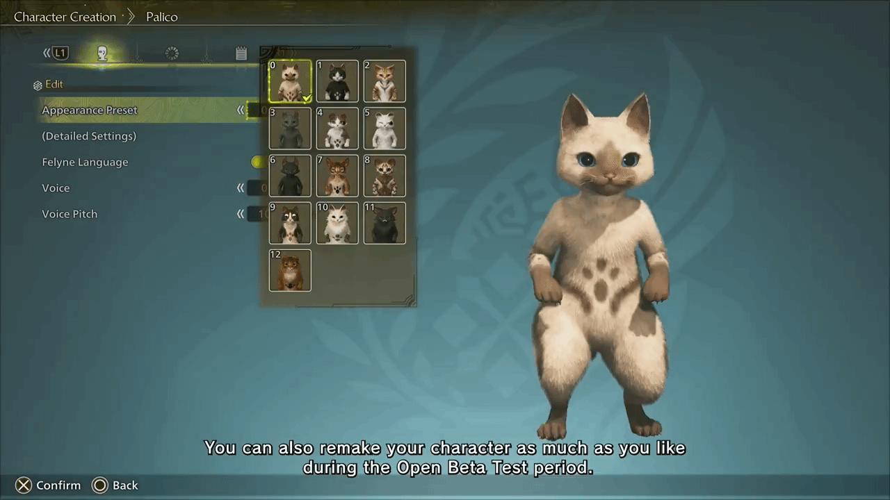 怪物猎人：荒野,MonsterHunterWilds,创建13