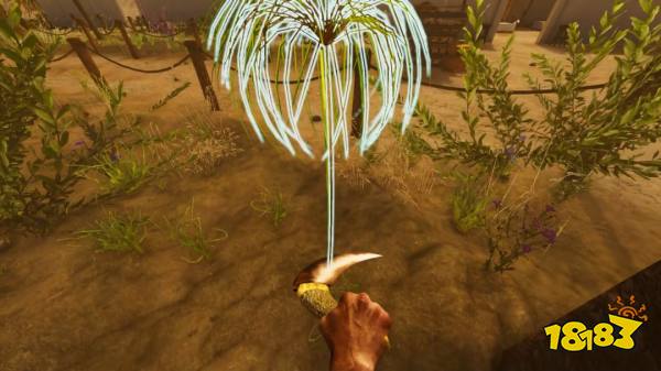 埃及前沿 战略决策