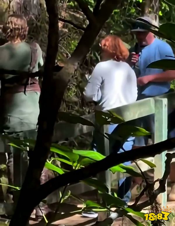 塞尔达电影拍摄现场